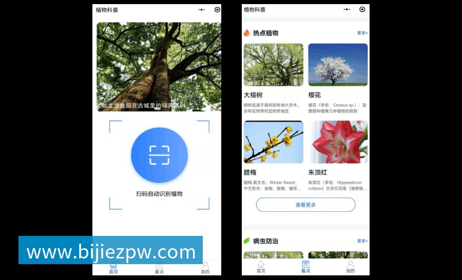 植物科普扫码系统