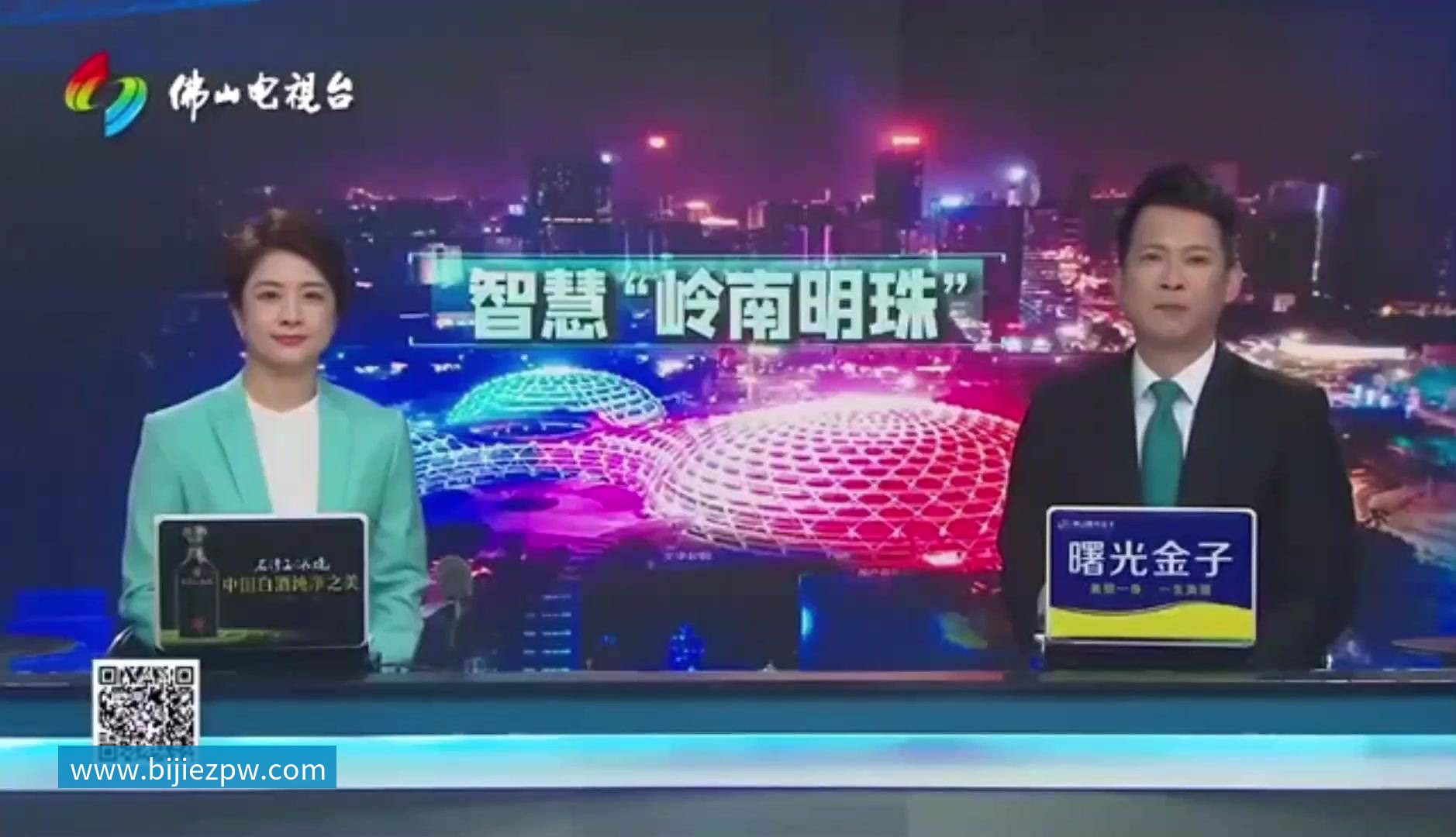 岭南明珠案例（封面）.mp4